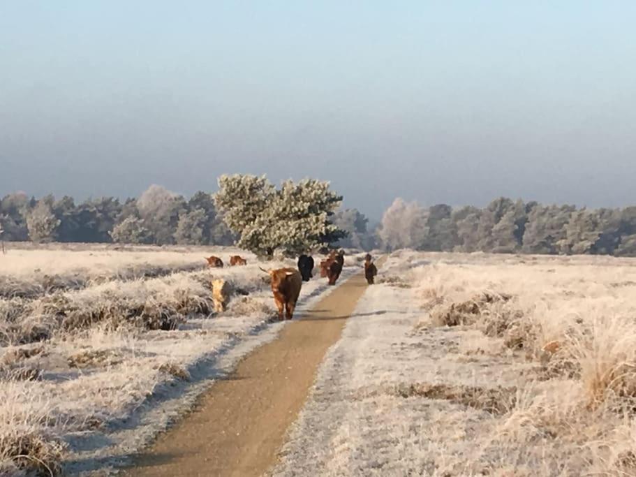 De Egelburcht Villa Garderen Buitenkant foto